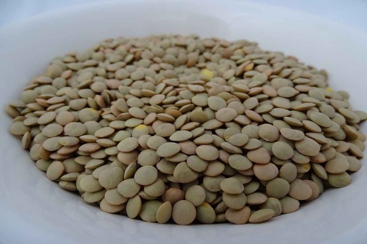 Lenticchie