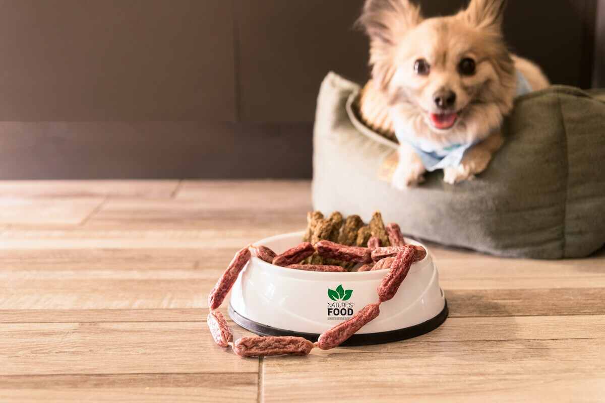 carne per cani