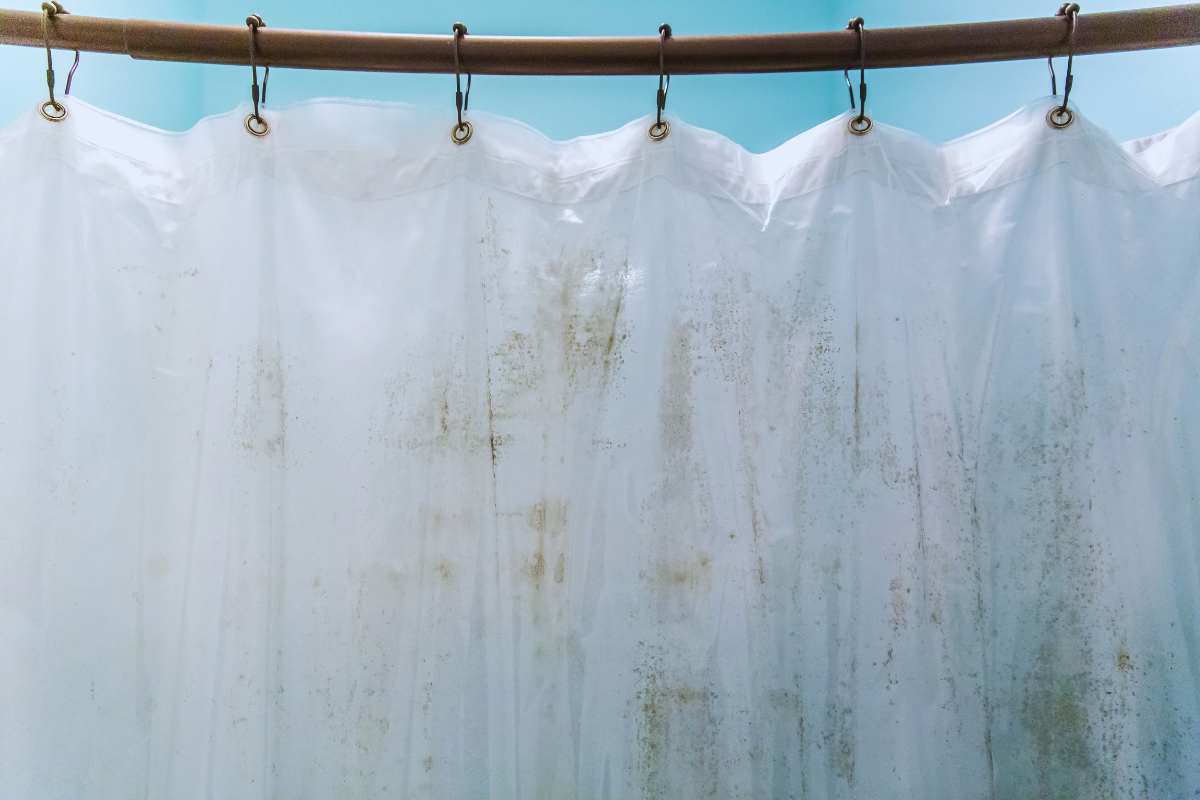 come togliere la muffa dalla tenda della doccia