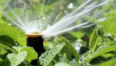Una nuova frontiera nei sistemi d'irrigazione (Depositphotos)