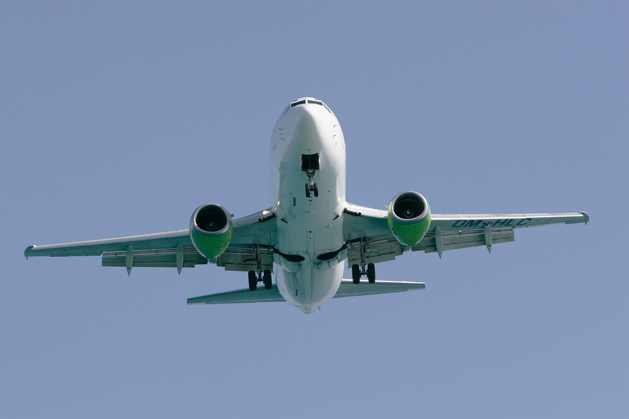 torben7400-fly-635521_1280.jpg